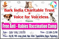Free anti-rabies vaccination camp for pet dogs and stray dogs