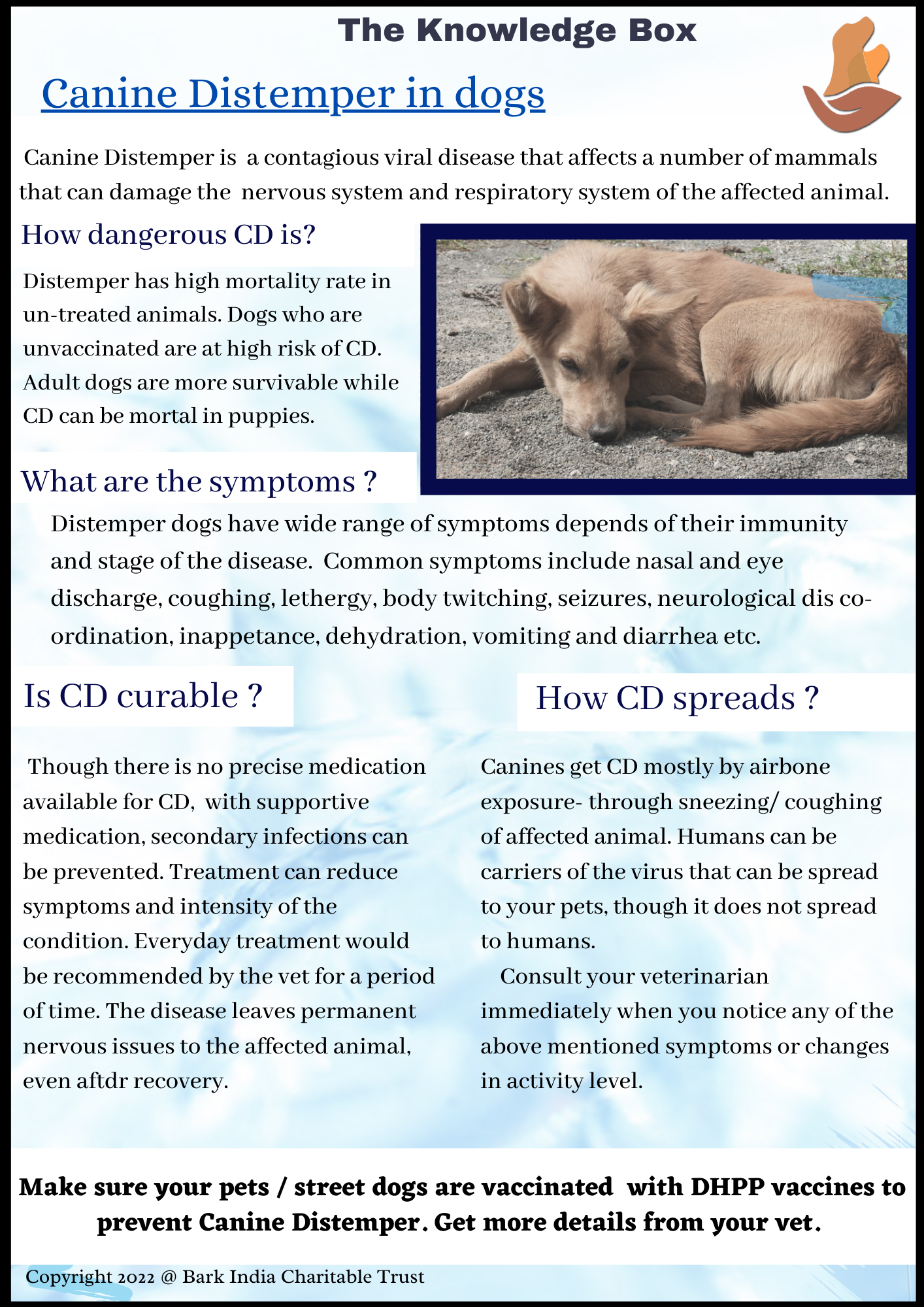 what are the symptoms of distemper in dogs