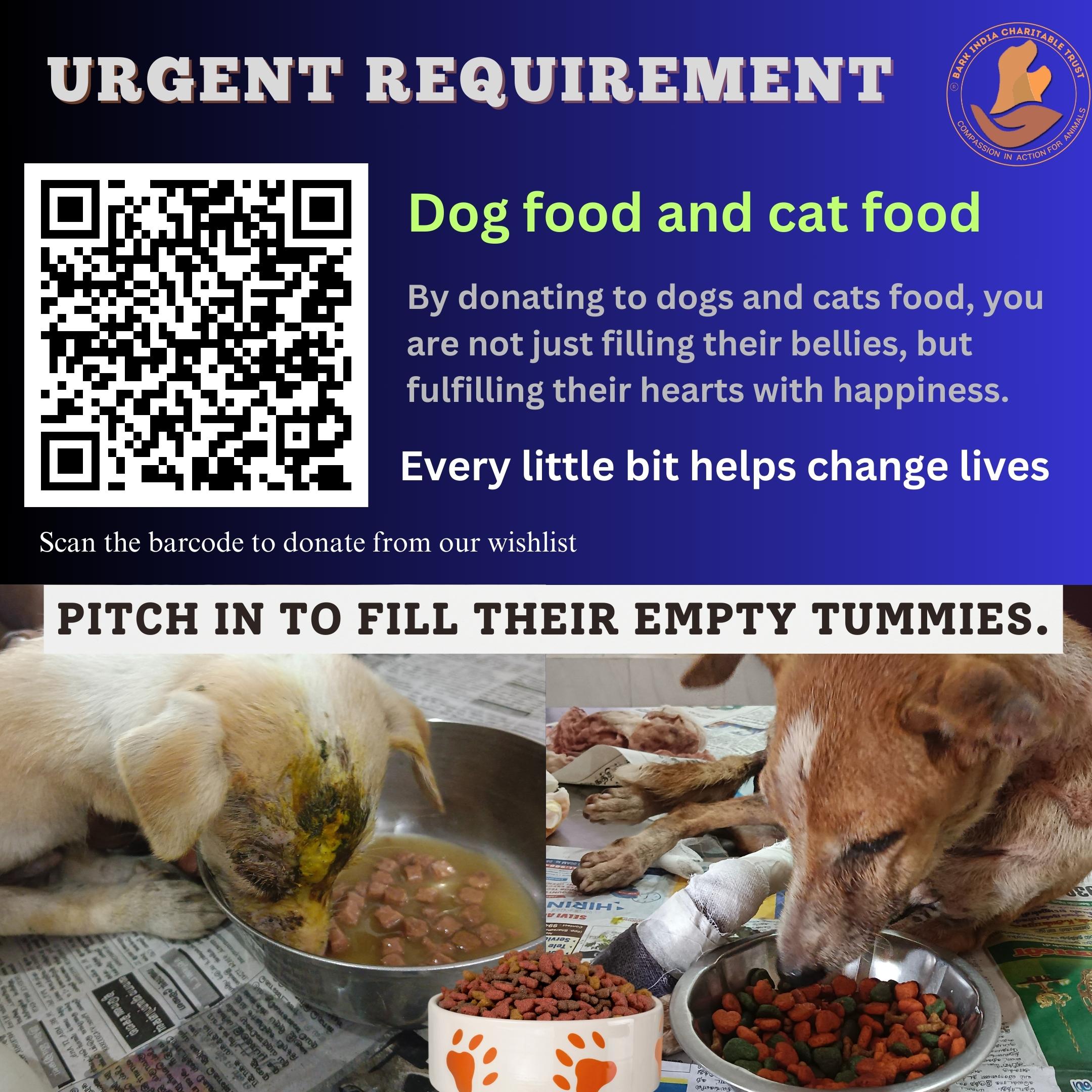 Donate food to stray animals Help Indie cats and dogs Bark India